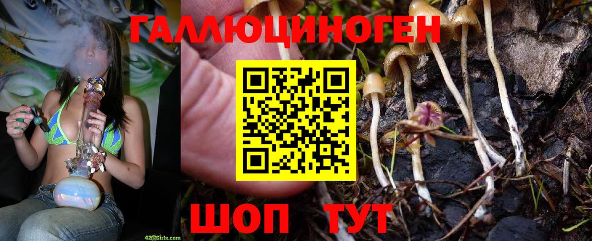 Псилоцибиновые грибы мицелий  Галлюциногенные грибы мицелий  Барнаул  Вход с VPN 